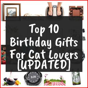 Birthday Gifts For Cat Lovers [TOP IDEAS]
