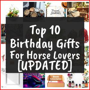 Birthday Gifts For Horse Lovers [TOP IDEAS]