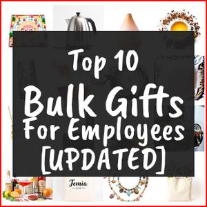 Bulk Gifts For Employees [TOP IDEAS]