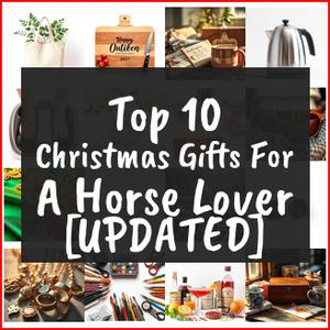 Christmas Gifts For A Horse Lover [TOP IDEAS]
